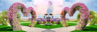 /album/kepes-oldal/the-miracle-flower-garden-jpg/